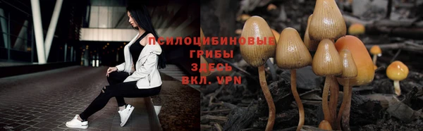 наркотики Алексин