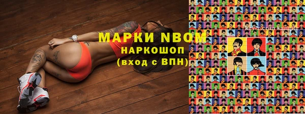 шишки Алзамай