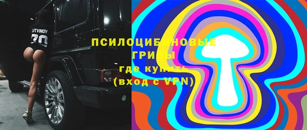 сатива Абинск