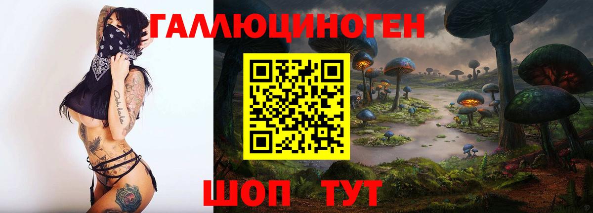 Галлюциногенные грибы Psilocybe  Вход с VPN  Камышлов 